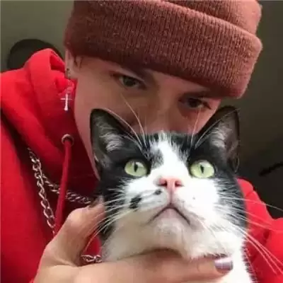 ���ߴ�����������������(��ѡ100��)