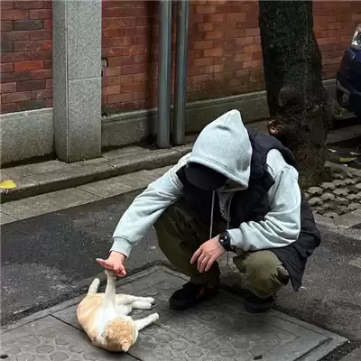 �ŷ�����������ѡ100����ʫ���ų���������