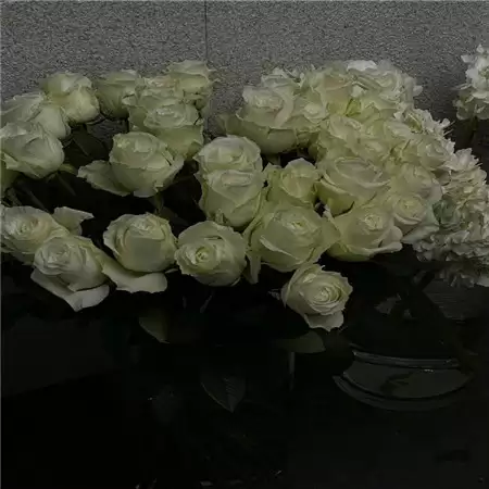 �˸�����������ѡ100�� | ����ҹ֮�����