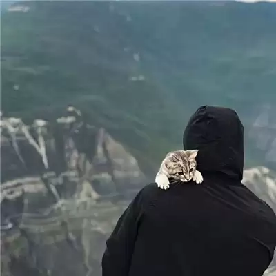 ��ȡ�������ִ�ȫ��������(��ѡ100��)