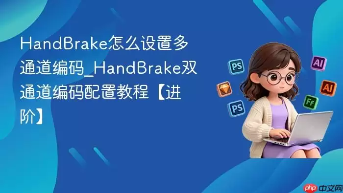 HandBrake��ô���ö�ͨ������_HandBrake˫ͨ���������ý̡̳����ס�