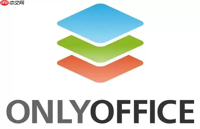 OnlyOffice��ô�Զ���Logo_����OnlyOfficeƷ�Ʊ�ʶ