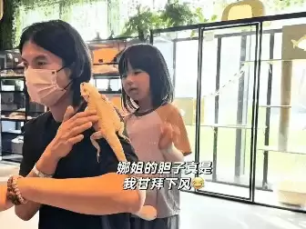 ������ɹ��������޳��������飬���Ѳ²����״̬
