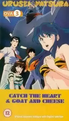 ����С��OVA������ܣ�������ĸ�Цð��
