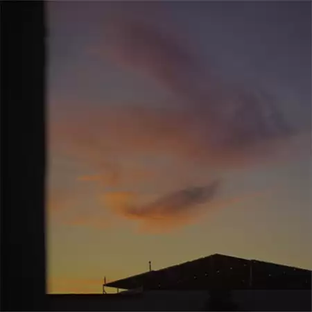 �ֵ�Ψ���˸�����Ů����ѡ100��