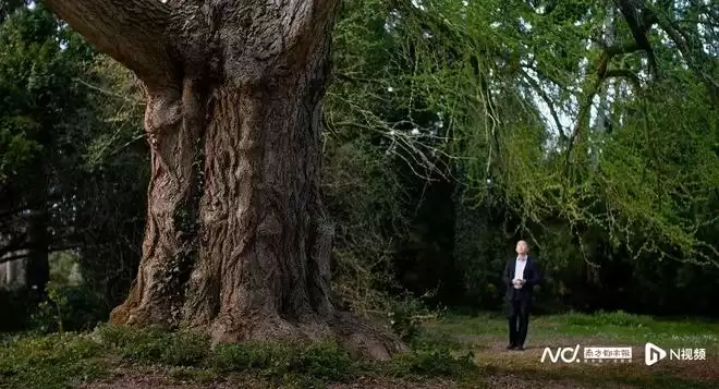 ����ΰ��Ƭ���ž������ѡ�����4��25�� ����������ݶ���Ϸ