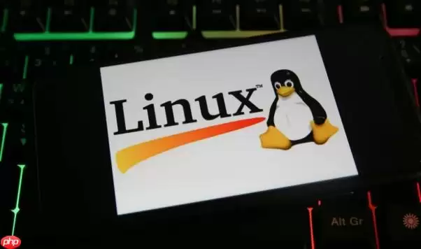 Linux�ں˼�أ�BPFTrace��̬׷��ʵսָ��