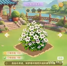 ��������������ָ�ϣ��ҵĻ�԰������ֲ�������