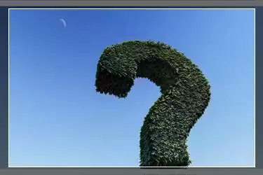 ƴ���ҹèѫ��ȡ��ԭ������;���