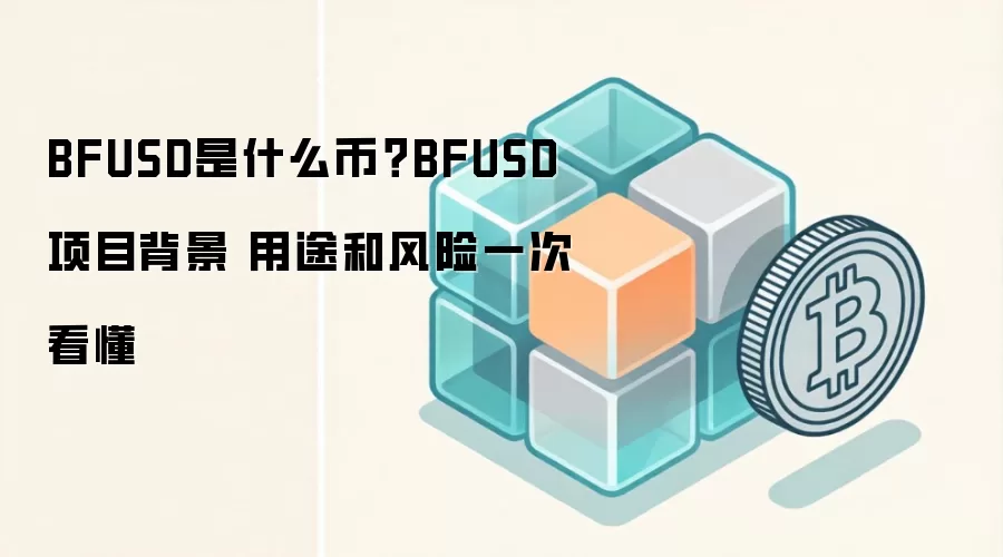BFUSD��ʲô�ң���Ŀ��������;����ս���