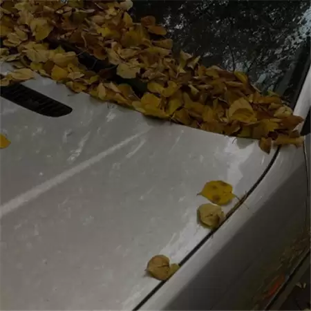 Ů���˸а���������ȫ(��ѡ100��)