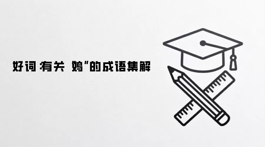 ��������ȫ���뼦��صľ�����Ｏ��