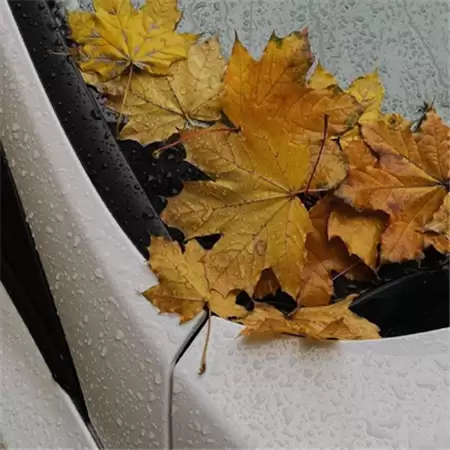 �˸�����½������������ѡ100��