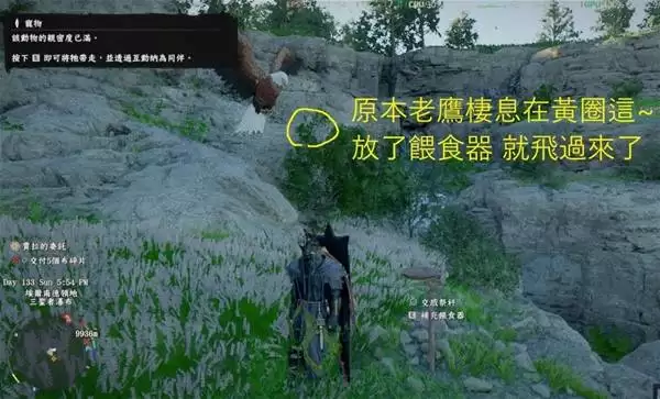 ����ɫɳĮ����ӥ��׽ָ�ϣ���Ч��ȡ�����뼼��
