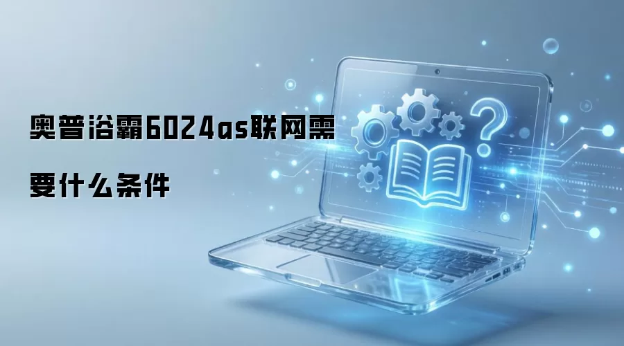 ����ԡ��6024AS���������벽�����