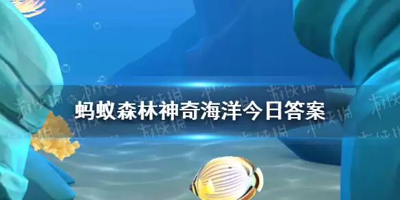 ˮ�º�Ϊʲô������֮�� ���溣��5��14�մ�����