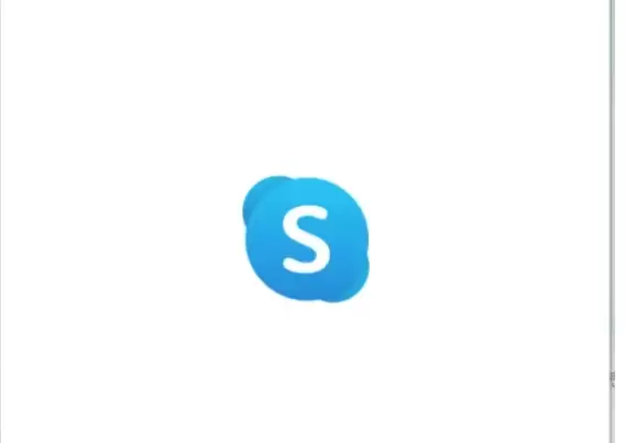 Skype�����޸Ĳ���ָ��