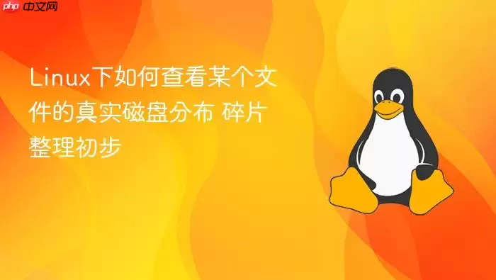 Linux�鿴�ļ����̷ֲ�����Ƭ��������