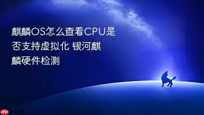 ����OS�鿴CPU���⻯֧�ַ���