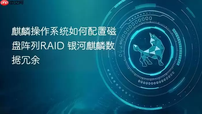 �������ϵͳ����RAID��������ʵ����������