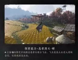 ����ʮ�����������������������