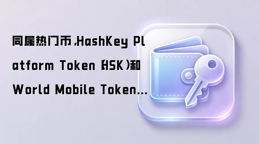 HSK��World Mobile Token�����ű���ѡ��ָ��