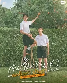 �����ӵ���ʱ��������뿴�����