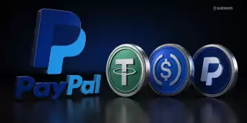 PayPal������ܲ��� �ص�Ͷ���ȶ���ҵ��