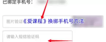 ���γ�APP����ֻ��Ų���ָ��