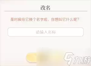 大女主宠物系统全解析 大女主宠物系统全解析