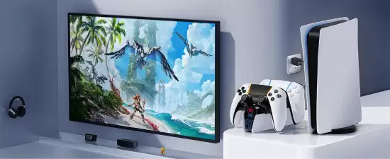 PS5����ɱ���� �����Ƿ�����