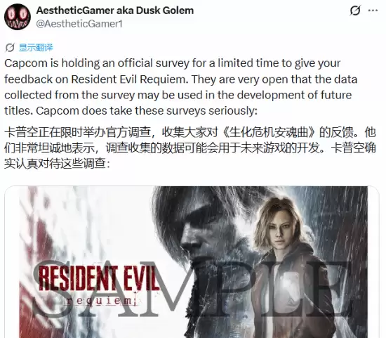 卡普空官方问卷:倾听中国玩家心声 卡普空官方问卷:倾听中国玩家心声