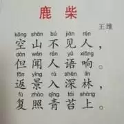 鹿柴景字读音解析 鹿柴景字读音解析