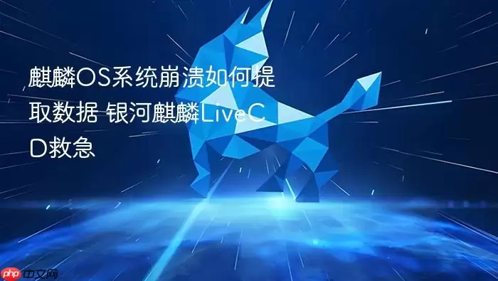����OSϵͳ����������ȡ ��������LiveCD�ȼ�ָ��