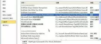 Word���ɾ���˵��е�MathType������