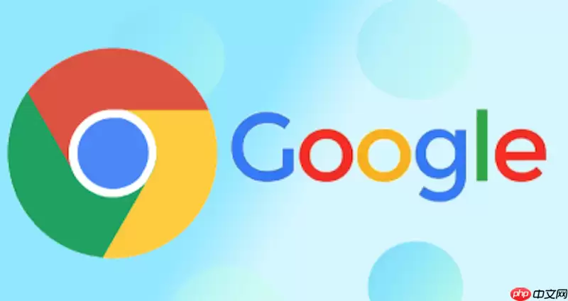 Chrome������ٷ��������ĳ�����������ʹ��ָ��