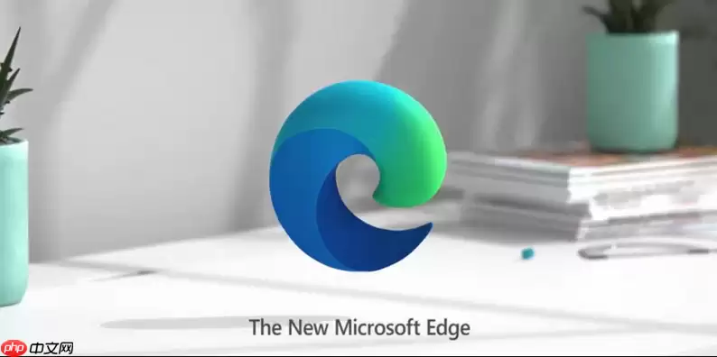 Edge�������ַ��Ĭ�����������޷�����Ϊ�ٶȻ�ȸ�Ľ������