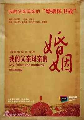 ���Ӿ硶�ҵĸ���ĸ��2013���������