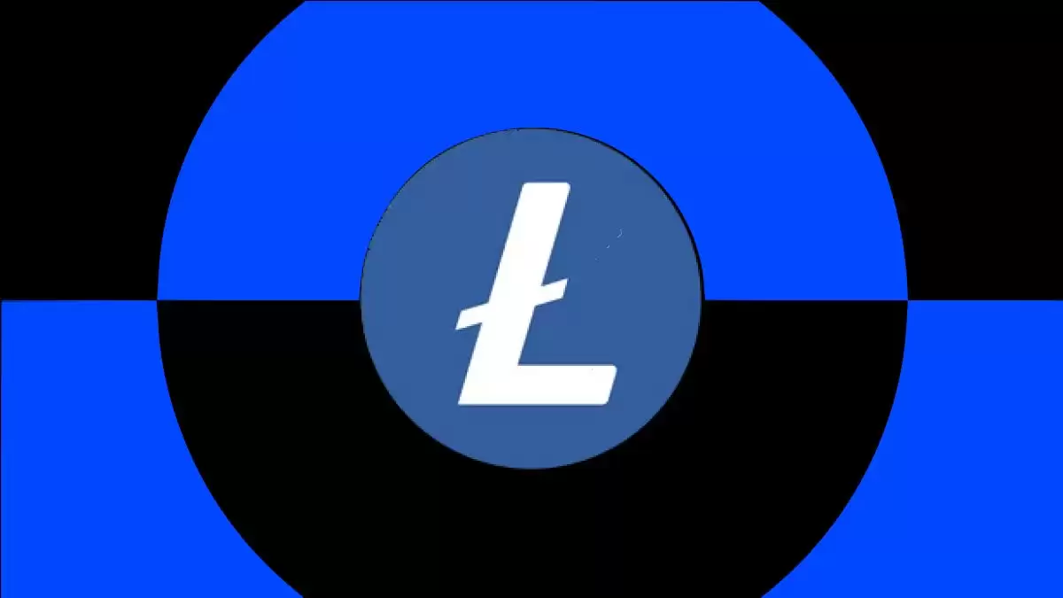 ���ر�LTC����ָ�ϣ����ְ����Ա���رһƽ�2026
