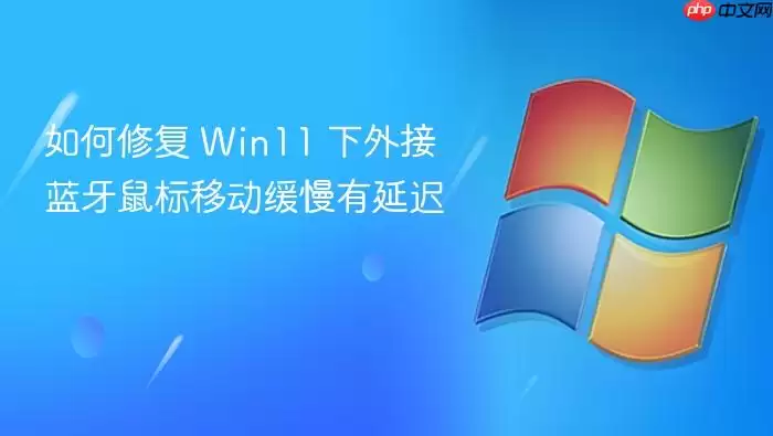 Win11��������ƶ����ӳ���ô��