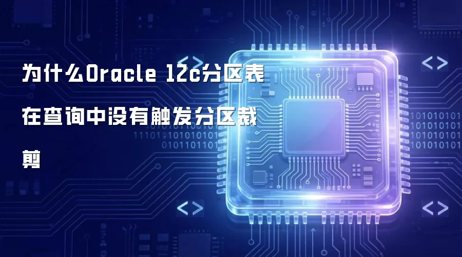 Oracle 12c��������ѯΪ�β����������ü�