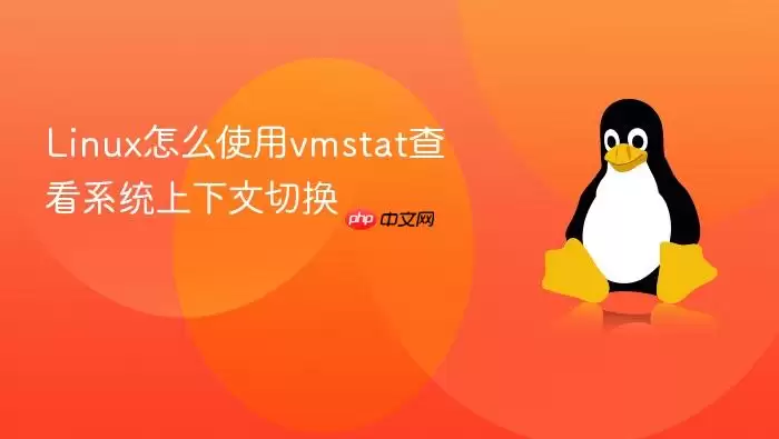 Linux��ôʹ��vmstat�鿴ϵͳ�������л�