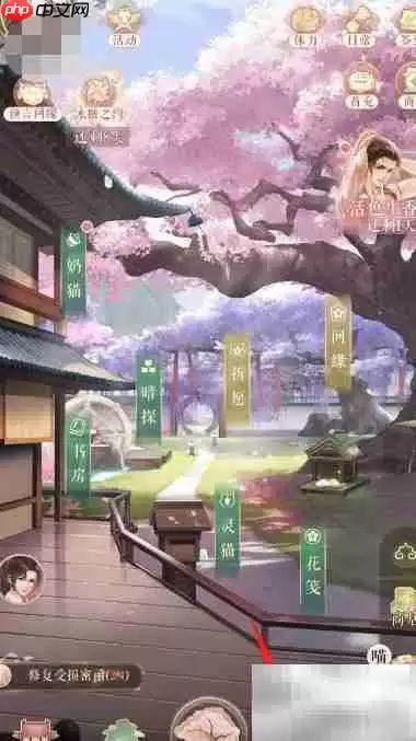 灵猫后院鉴宝派遣全攻略 灵猫后院鉴宝派遣全攻略
