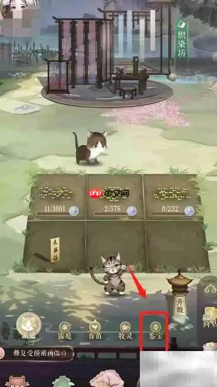 灵猫后院鉴宝派遣全攻略 灵猫后院鉴宝派遣全攻略