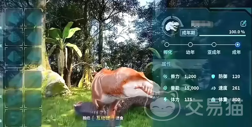 ����������Դ�����������������ָ��