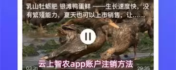 云上智农APP注销账户教程 云上智农APP注销账户教程