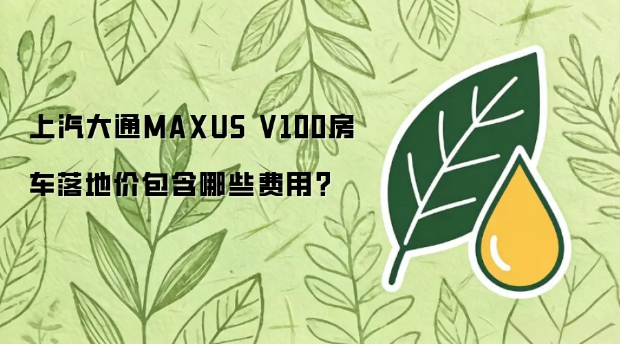 ������ͨMAXUS V100������ط����嵥