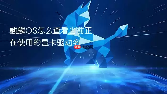 ����OS��ô�鿴��ǰ�Կ�������