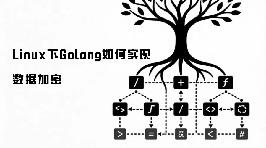 Linux��Golangʵ�����ݼ��ܷ���