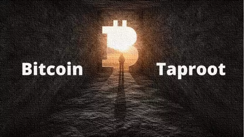 ���ر�Taproot������������ô�